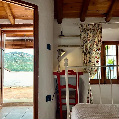 Casillas De La Villa: Solea *